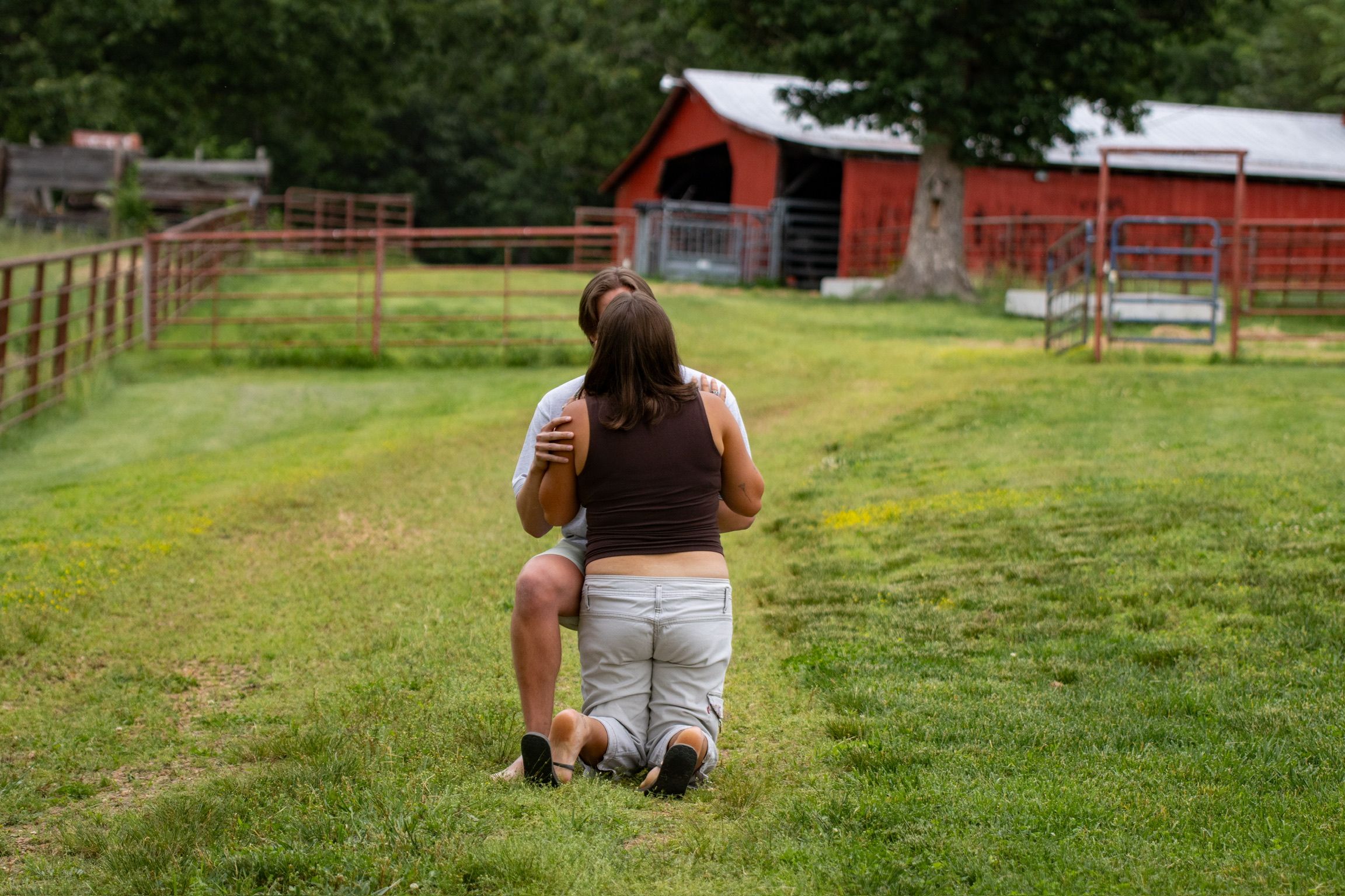 A closer view of the moment by the red barn
