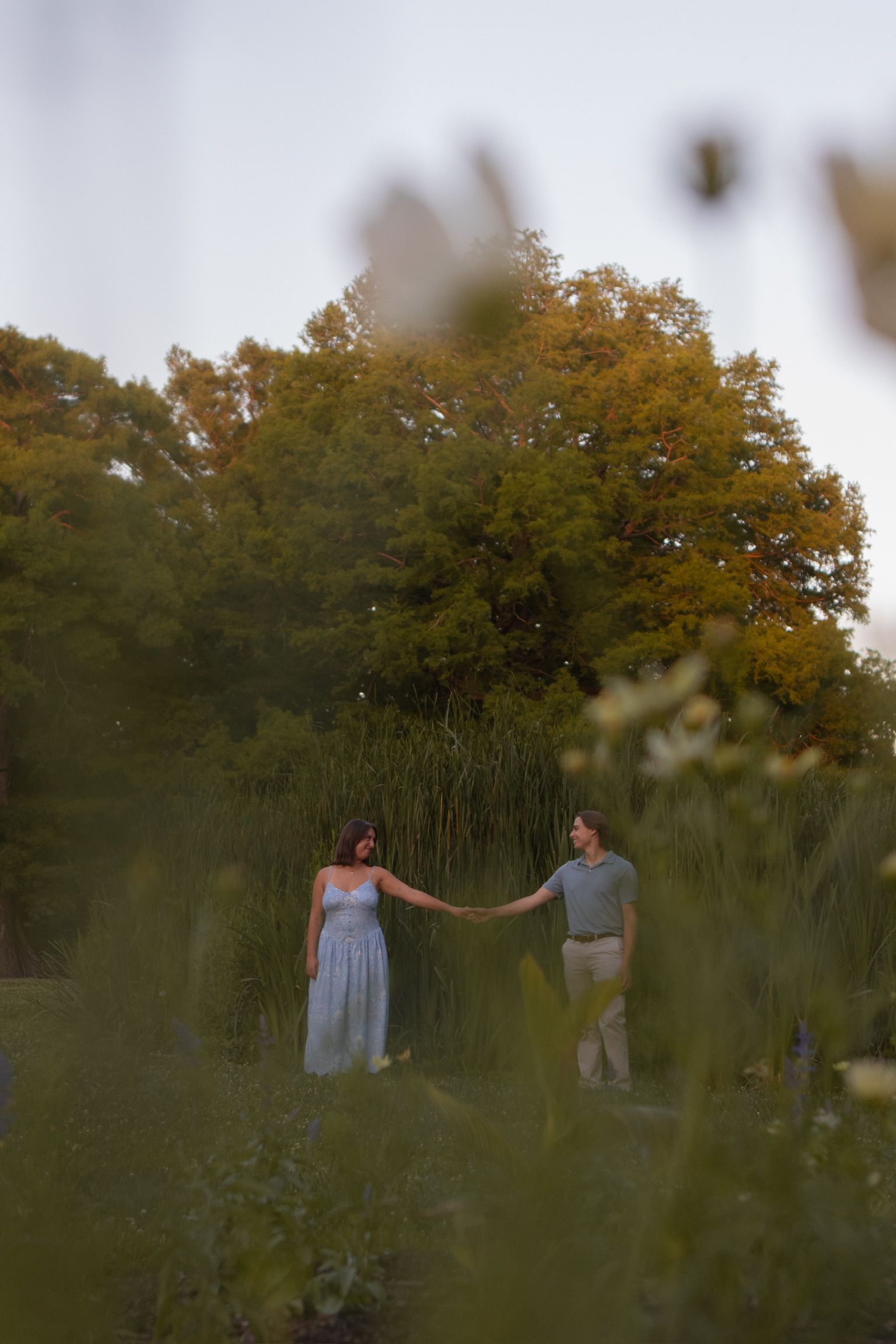 Andrew and Grace holding hands in a meadow, framed by tall grasses